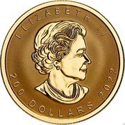 Canada 200 Dollars Ultra-High Relief Gold Maple Leaf 2022 ELIZABETH II 200 DOLLARS 2022. coin obverse