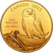 Canada 2500 Dollars Snowy Owl on Driftwood by Robert Bateman 2022 CANADA 202 2500 DOLLARS ROBRT BATEMAN coin reverse Canada 2500 Dollars Snowy Owl on Driftwood by Robert Bateman 2022 CANADA 202 2500 DOLLARS ROBRT BATEMAN coin reverse