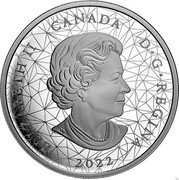 Canada 30 Dollars Multifaceted Animal Family - Bald Eagles 2022 ELIZABETH II CANADA D∙G∙REGINA 2022 coin obverse Canada 30 Dollars Multifaceted Animal Family - Bald Eagles 2022 ELIZABETH II CANADA D∙G∙REGINA 2022 coin obverse