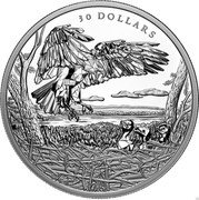 Canada 30 Dollars Multifaceted Animal Family - Bald Eagles 2022 30 DOLLARS coin reverse Canada 30 Dollars Multifaceted Animal Family - Bald Eagles 2022 30 DOLLARS coin reverse