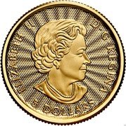 Canada 5 Dollars (The Majestic Polar Bear) ELIZABETH II D∙G∙REGINA 5 DOLLARS coin obverse Canada 5 Dollars (The Majestic Polar Bear) ELIZABETH II D∙G∙REGINA 5 DOLLARS coin obverse