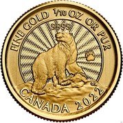 Canada 5 Dollars (The Majestic Polar Bear) FINE GOLD 1/10 OZ OR PUR 9999 CANADA 2022 coin reverse