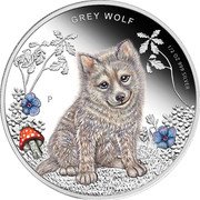Tuvalu 50 Cents Grey Wolf 2013 Proof KM# 213 GREY WOLF P 1/2 OZ 999 SILVER coin reverse Tuvalu 50 Cents Grey Wolf 2013 Proof KM# 213 GREY WOLF P 1/2 OZ 999 SILVER coin reverse