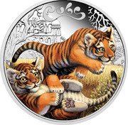 Tuvalu 50 Cents Bengal Tiger Cubs 2016 Proof KM# 273 CUBS P TV coin reverse Tuvalu 50 Cents Bengal Tiger Cubs 2016 Proof KM# 273 CUBS P TV coin reverse