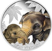 Tuvalu 50 Cents Asian Elephant 2014  Proof P IJ ASIAN ELEPHANT coin reverse Tuvalu 50 Cents Asian Elephant 2014  Proof P IJ ASIAN ELEPHANT coin reverse
