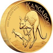 Australia 500 Dollars (Kangaroo) 2022 5 OZ 9999 GOLD KANGAROO P coin reverse