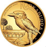 Australia 500 Dollars (Kookaburra High relief) KOOKABURRA P 2022 5 OZ 9999 GOLD coin reverse
