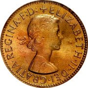 Australia Half Penny Kangaroo 1962 (p) KM# 61 ELIZABETH II DEI GRATIA REGINA F D coin obverse Australia Half Penny Kangaroo 1962 (p) KM# 61 ELIZABETH II DEI GRATIA REGINA F D coin obverse