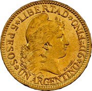 Argentina 1 Argentino 5 Pesos Liberty 1881 KM# 31 LIBERTAD 5 PESOS UN ARGENTINO 9 D FINO coin reverse Argentina 1 Argentino 5 Pesos Liberty 1881 KM# 31 LIBERTAD 5 PESOS UN ARGENTINO 9 D FINO coin reverse