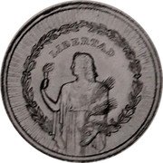 Argentina 1 Peso (Liberty with Wheat Pattern) KM# Pn61 LIBERTAD coin reverse Argentina 1 Peso (Liberty with Wheat Pattern) KM# Pn61 LIBERTAD coin reverse