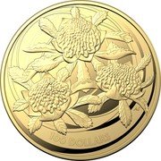 Australia 100 Dollars Wildflowers of Australia. Waratah 2022  BU AS 100 DOLLARS coin reverse Australia 100 Dollars Wildflowers of Australia. Waratah 2022  BU AS 100 DOLLARS coin reverse