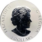 Canada 2 Dollars (Canadian Moose) 2 DOLLARS ELIZABETH II D G REGINA SB coin obverse