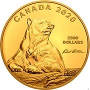 Canada 2500 Dollars Robert Bateman's Summertime Polar Bear 2020 CANADA 2020 2500 DOLLARS ROBERT BATEMAN coin reverse Canada 2500 Dollars Robert Bateman's Summertime Polar Bear 2020 CANADA 2020 2500 DOLLARS ROBERT BATEMAN coin reverse