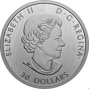 Canada 30 Dollars (The Mighty Bison) ELIZABETH II D G REGINA 30 DOLLARS SB coin obverse Canada 30 Dollars (The Mighty Bison) ELIZABETH II D G REGINA 30 DOLLARS SB coin obverse