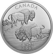 Canada 30 Dollars (The Mighty Bison) CANADA 2022 CD coin reverse Canada 30 Dollars (The Mighty Bison) CANADA 2022 CD coin reverse