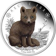 Tuvalu 50 Cents Arctic Fox 2017 P Proof ARCTIC FOX 1/2 OZ 9999 AG P NM coin reverse