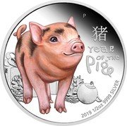 Tuvalu 50 Cents Baby Pig 2019 P Proof P YEAR OF THE PIG NM 豬 2019 1/2 OZ 9999 SILVER coin reverse Tuvalu 50 Cents Baby Pig 2019 P Proof P YEAR OF THE PIG NM 豬 2019 1/2 OZ 9999 SILVER coin reverse