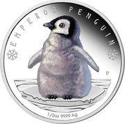 Tuvalu 50 Cents (Emperor Penguin) EMPEROR PENGUIN 1/2 OZ 9999 AG P NM coin reverse