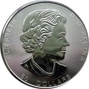 Canada 50 Dollars Roaring Bear 2017 In Sets only ELIZABETH II D G REGINA SB 50 DOLLARS coin obverse Canada 50 Dollars Roaring Bear 2017 In Sets only ELIZABETH II D G REGINA SB 50 DOLLARS coin obverse