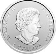 Canada 8 Dollars Kermode Bear 2020 In Sets only 8 DOLLARS ELIZABETH II D G REGINA SB coin obverse Canada 8 Dollars Kermode Bear 2020 In Sets only 8 DOLLARS ELIZABETH II D G REGINA SB coin obverse