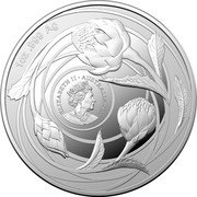 Australia One Dollar Wildflowers of Australia. Waratah 2022  BU 1 OZ .999 AG ELIZABETH II AUSTRALIA 2022 coin obverse Australia One Dollar Wildflowers of Australia. Waratah 2022  BU 1 OZ .999 AG ELIZABETH II AUSTRALIA 2022 coin obverse