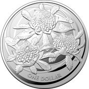 Australia One Dollar Wildflowers of Australia. Waratah 2022  BU AS ONE DOLLAR coin reverse Australia One Dollar Wildflowers of Australia. Waratah 2022  BU AS ONE DOLLAR coin reverse