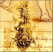 Niue 1 Dollar The da Vinci Codex. Study of the Female Anatomy 2011 Proof KM# 543 coin reverse Niue 1 Dollar The da Vinci Codex. Study of the Female Anatomy 2011 Proof KM# 543 coin reverse