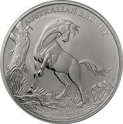 Australia 1 Dollar Australian Brumby Feral Horse 2022 AUSTRALIAN BRUMBY P JM 2022 1OZ 9999 SILVER coin reverse Australia 1 Dollar Australian Brumby Feral Horse 2022 AUSTRALIAN BRUMBY P JM 2022 1OZ 9999 SILVER coin reverse
