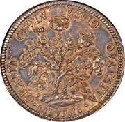Italy Pezza Della Rosa Cosimo III 1703 KM# 15.3 GRATIA OBVIA VLTIO QVAESTIA LIBVRNI coin reverse