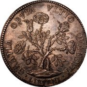 Italy Pezza Della Rosa Cosimo III 1707 KM# 15.4 GRATIA OBVIA VLTIO QVAESTIA LIBVRNI coin reverse Italy Pezza Della Rosa Cosimo III 1707 KM# 15.4 GRATIA OBVIA VLTIO QVAESTIA LIBVRNI coin reverse