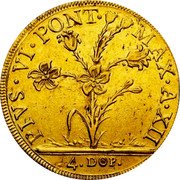 Italy 4 Doppie D'oro (Quadrupla) Pius VI 1786 XII KM# 312 PIVS VI PONT MAX A XII 4 DOP coin obverse Italy 4 Doppie D'oro (Quadrupla) Pius VI 1786 XII KM# 312 PIVS VI PONT MAX A XII 4 DOP coin obverse