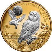 Niue 100 Dollars (Barn Owl) AUSTRALIA AT NIGHT BARN OWL coin reverse Niue 100 Dollars (Barn Owl) AUSTRALIA AT NIGHT BARN OWL coin reverse
