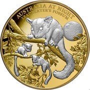 Niue 100 Dollars (Leadbeater's Possum) AUSTRALIA AT NIGHT LEADBEATER'S POSSUM coin reverse Niue 100 Dollars (Leadbeater's Possum) AUSTRALIA AT NIGHT LEADBEATER'S POSSUM coin reverse