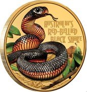 Niue 100 Dollars Red Bellied Black Snake 2022 AUSTRALIA'S RED-BELLIED BLACK SNAKE coin reverse Niue 100 Dollars Red Bellied Black Snake 2022 AUSTRALIA'S RED-BELLIED BLACK SNAKE coin reverse