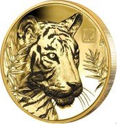 Niue 100 Dollars Year of the Tiger 虎 2022 虎 coin reverse Niue 100 Dollars Year of the Tiger 虎 2022 虎 coin reverse