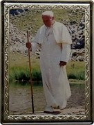 Niue Half Dollar John Paul II Walking 2008  Proof  coin reverse Niue Half Dollar John Paul II Walking 2008  Proof  coin reverse