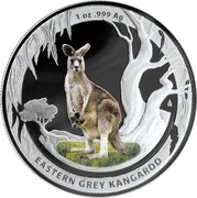 Australia 1 Dollar Eastern Grey Kangaroo 2013 KM# 1946 1 OZ .999 AG EASTERN GREY KANGAROO coin reverse Australia 1 Dollar Eastern Grey Kangaroo 2013 KM# 1946 1 OZ .999 AG EASTERN GREY KANGAROO coin reverse