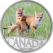 Canada 10 Dollars Wild Swift Fox and Pups 2017 Proof CANADA 1867 2017 coin reverse Canada 10 Dollars Wild Swift Fox and Pups 2017 Proof CANADA 1867 2017 coin reverse