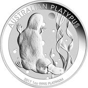 Australia 100 Dollars Australian Platypus 2017 KM# 1731 AUSTRALIAN PLATYPUS 2011 1 OZ 9995 PLATINUM P NM coin reverse Australia 100 Dollars Australian Platypus 2017 KM# 1731 AUSTRALIAN PLATYPUS 2011 1 OZ 9995 PLATINUM P NM coin reverse