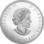 Canada 125 Dollars Elk 2017 Proof ELIZABETH II D∙G∙REGINA 125 DOLLARS coin obverse Canada 125 Dollars Elk 2017 Proof ELIZABETH II D∙G∙REGINA 125 DOLLARS coin obverse