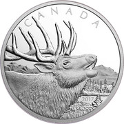 Canada 125 Dollars Elk 2017 Proof CANADA 2017 coin reverse Canada 125 Dollars Elk 2017 Proof CANADA 2017 coin reverse