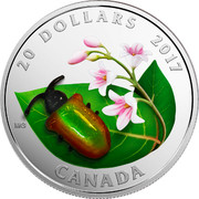 Canada 20 Dollars Little Creatures - Dogbane Beetle 2017 Proof 20 DOLLARS 2017 CANADA MG coin reverse Canada 20 Dollars Little Creatures - Dogbane Beetle 2017 Proof 20 DOLLARS 2017 CANADA MG coin reverse
