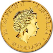 Australia 25 Dollars Australian Kangaroo 2013 KM# 1990 ELIZABETH II AUSTRALIA 25 DOLLARS IRB coin obverse Australia 25 Dollars Australian Kangaroo 2013 KM# 1990 ELIZABETH II AUSTRALIA 25 DOLLARS IRB coin obverse