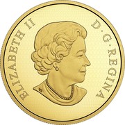 Canada 250 Dollars Maple Canopy - Kaleidoscope of Colour 2017 Proof ELIZABETH II D ∙ G ∙ REGINA coin obverse Canada 250 Dollars Maple Canopy - Kaleidoscope of Colour 2017 Proof ELIZABETH II D ∙ G ∙ REGINA coin obverse