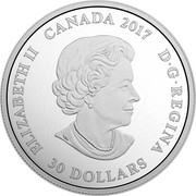 Canada 30 Dollars Animals in the Moonlight - Cougar 2017 ELIZABETH II CANADA 2017 D ∙ G ∙ REGINA 30 DOLLARS SB coin obverse Canada 30 Dollars Animals in the Moonlight - Cougar 2017 ELIZABETH II CANADA 2017 D ∙ G ∙ REGINA 30 DOLLARS SB coin obverse