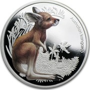 Australia 50 Cents Bush Babies - Kangaroo 2010 KM# 1456 AUSTRALIAN KANGAROO P EM coin reverse Australia 50 Cents Bush Babies - Kangaroo 2010 KM# 1456 AUSTRALIAN KANGAROO P EM coin reverse