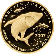 Australia 50 Dollars Great white shark 2007 P Proof KM# 976 DISCOVER AUSTRALIA 2007 GREAT WHITE SHARK 1/2OZ. 9999 GOLD coin reverse