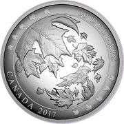 Canada 50 Dollars Maple Leaves in Motion Domed Concave shape 2017 Proof CANADA 2017 50 DOLLARS LTK coin reverse Canada 50 Dollars Maple Leaves in Motion Domed Concave shape 2017 Proof CANADA 2017 50 DOLLARS LTK coin reverse