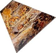 Niue 10 Dollars (Brunelleschi Dome Florence. Part 5 of 9)  coin reverse Niue 10 Dollars (Brunelleschi Dome Florence. Part 5 of 9)  coin reverse