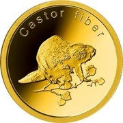 Niue Two Dollars Fifty Cents Eurasian beaver 2022  Proof CASTOR FIBER coin reverse Niue Two Dollars Fifty Cents Eurasian beaver 2022  Proof CASTOR FIBER coin reverse